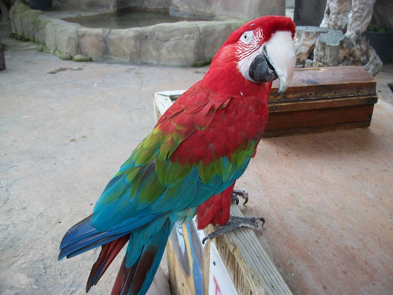 Winston, 9th June 2014