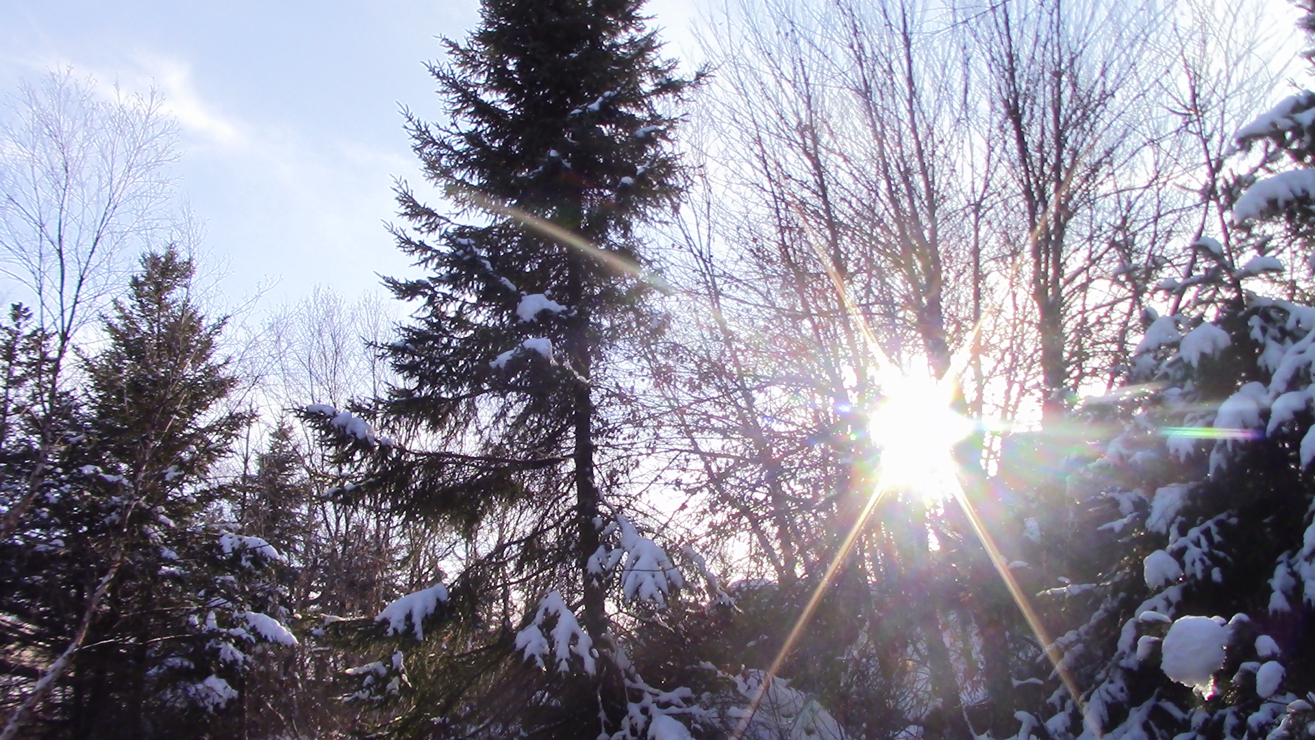 Winter at the Minnesota Zoo-Nov 13