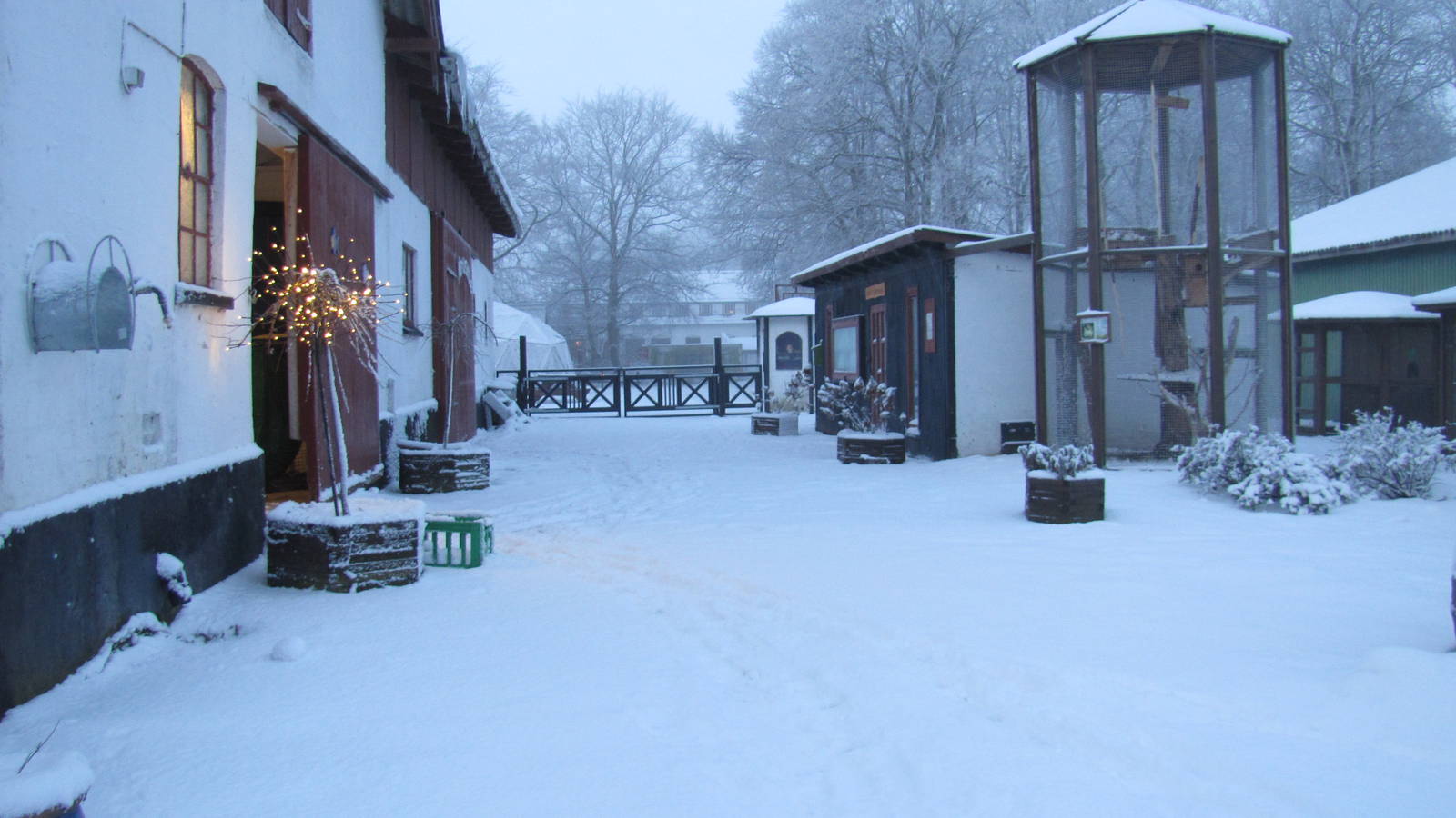 Winter at the petting zoo