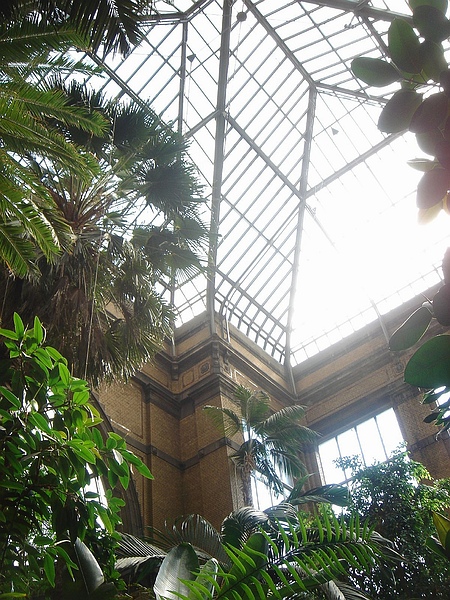Winter Garden, Antwerp Zoo.