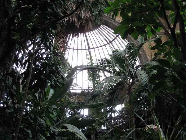 Winter Garden, Antwerp Zoo.