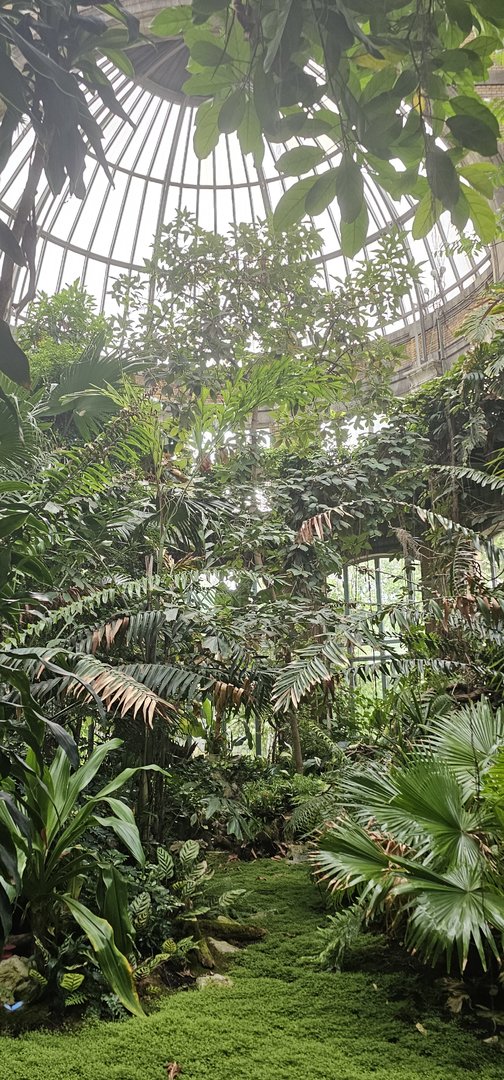 Winter garden, butterfly exhibit