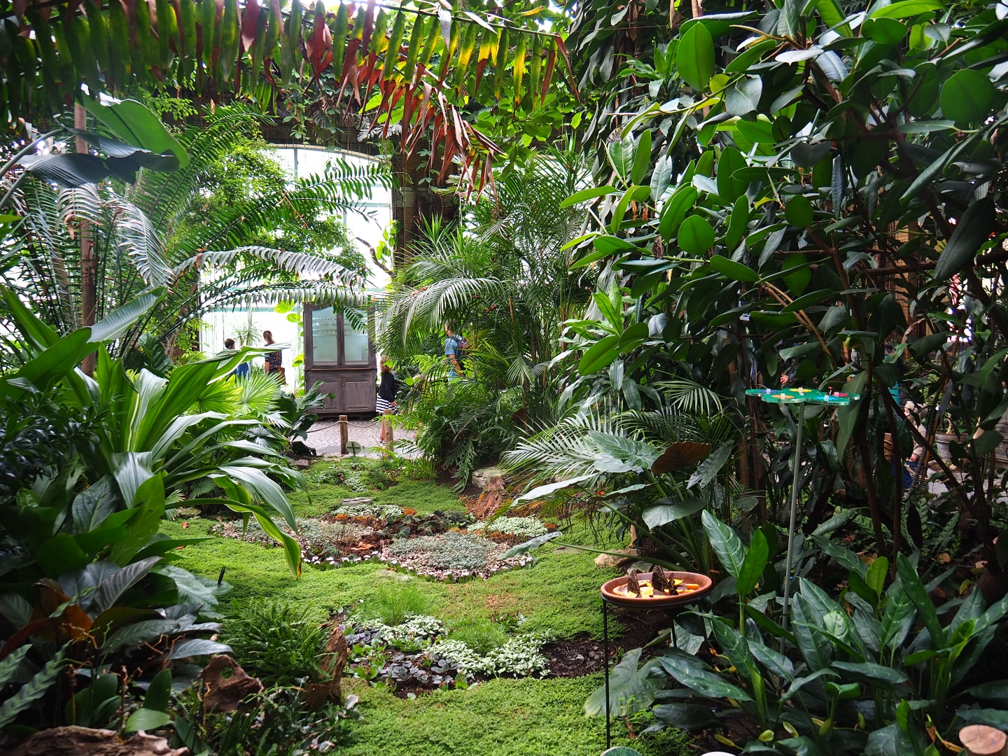 Winter Garden - Butterfly house