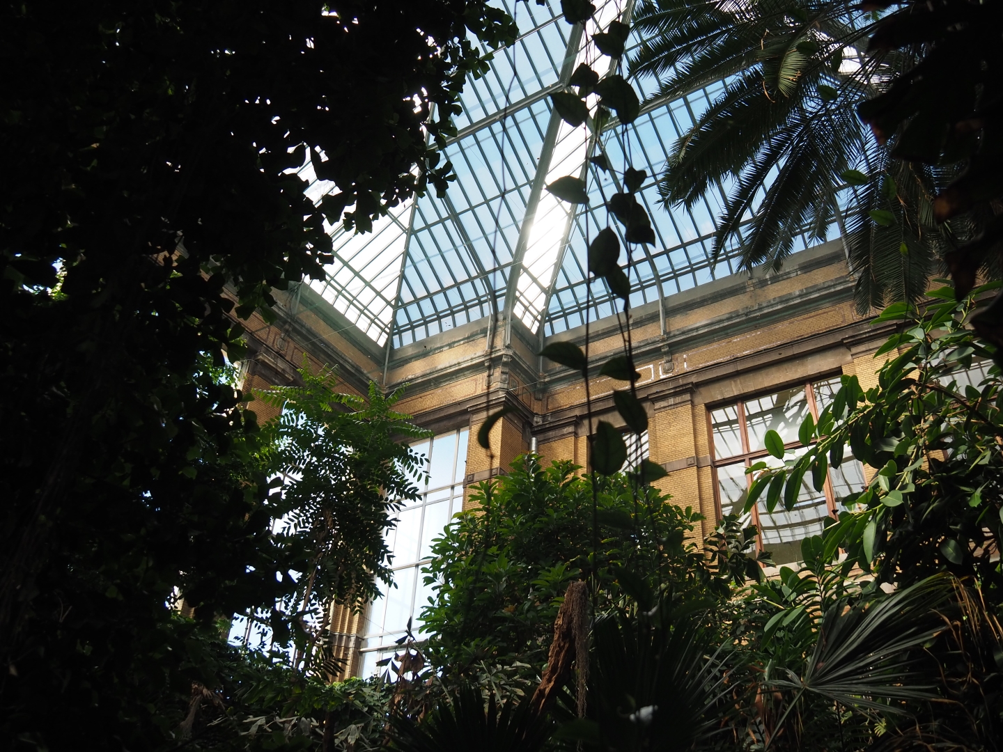 Winter Garden - Butterfly house