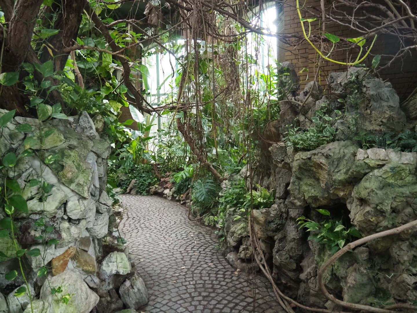 Winter Garden - Butterfly house