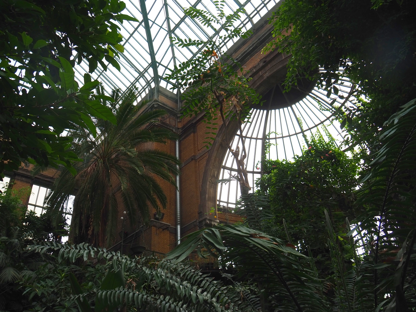 Winter Garden - Butterfly house