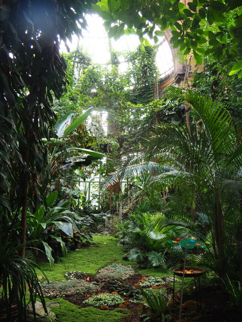 Winter Garden - Butterfly house