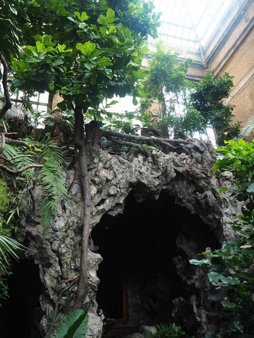 Winter garden/Seasonal butterfly house - Cave with entrance and exit, 2023-07-22