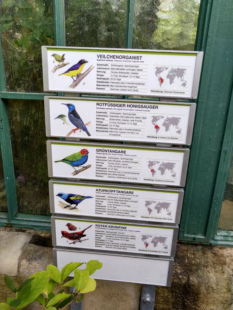 Winter garden - South America rainforest aviary