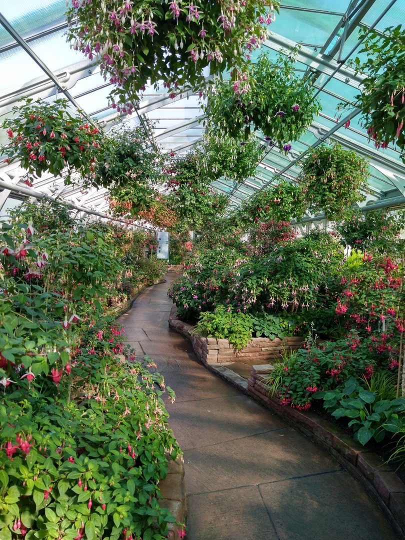 Winter gardens - Fuchsia garden