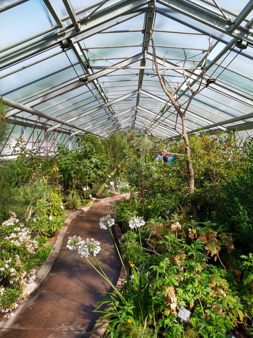 Winter gardens - Mediterranean garden