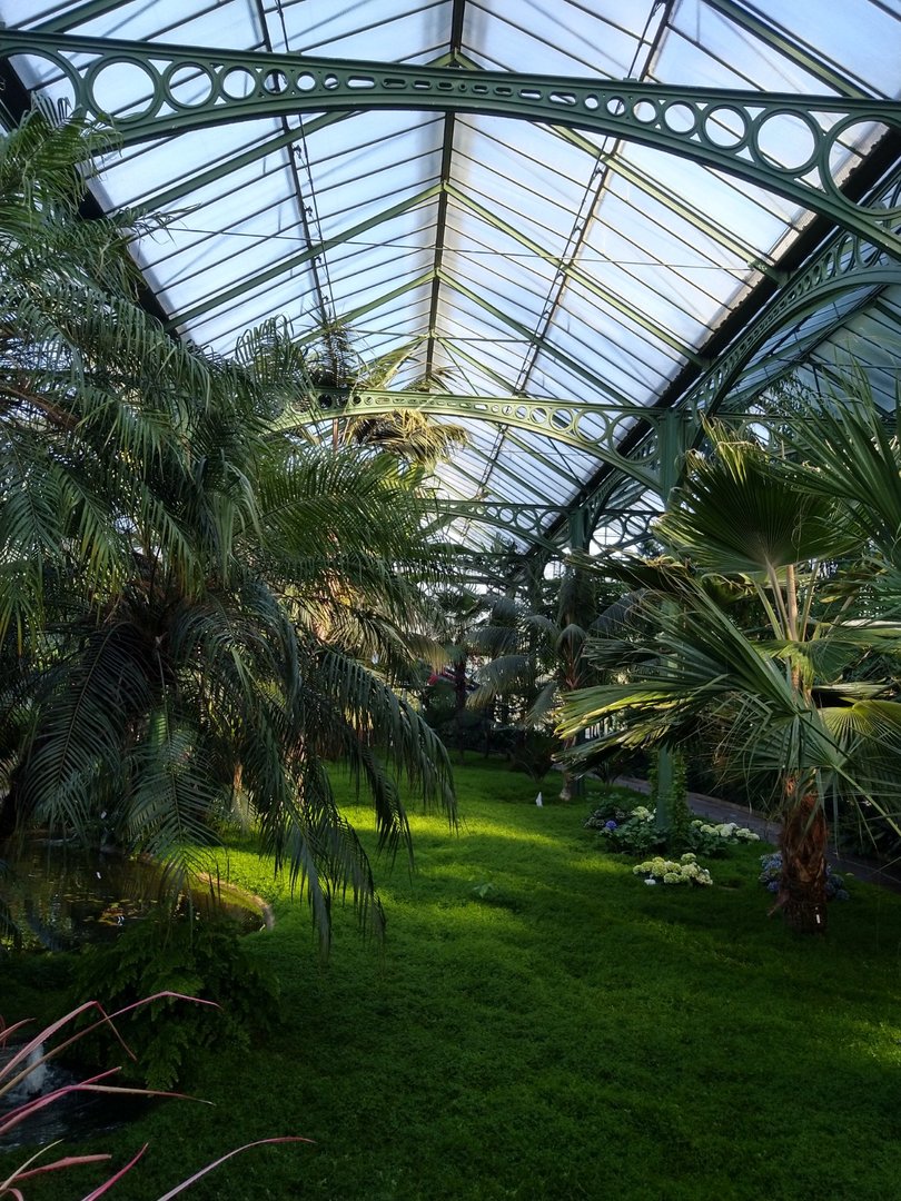 Winter gardens - Palm garden