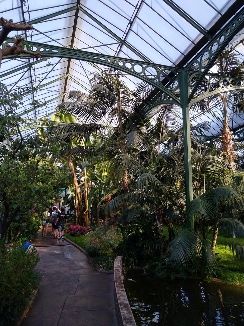 Winter gardens - Palm garden