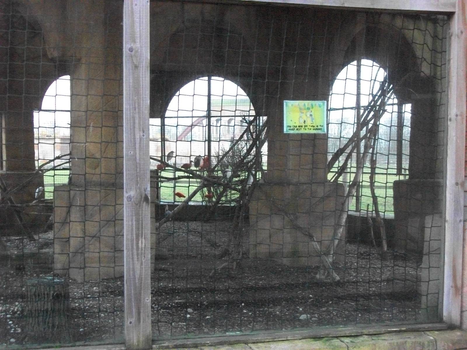 Winter housing for Egrets and Ibises 27th December 2012