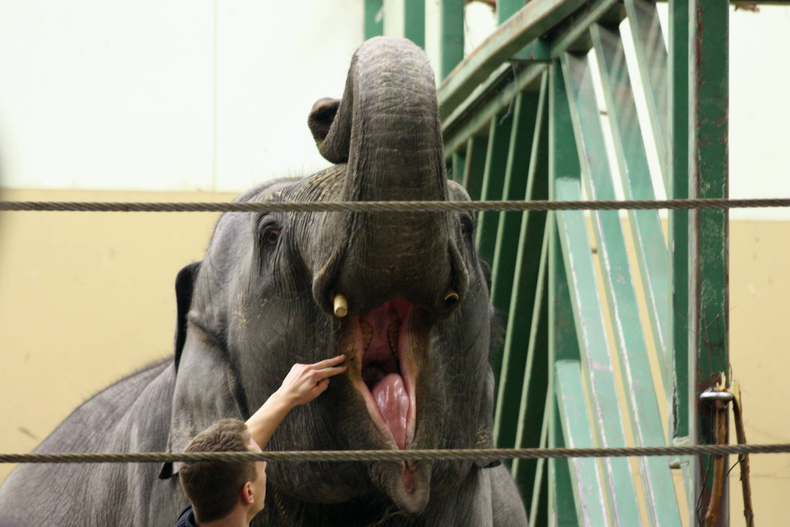 Winter in the park 16/2 2013