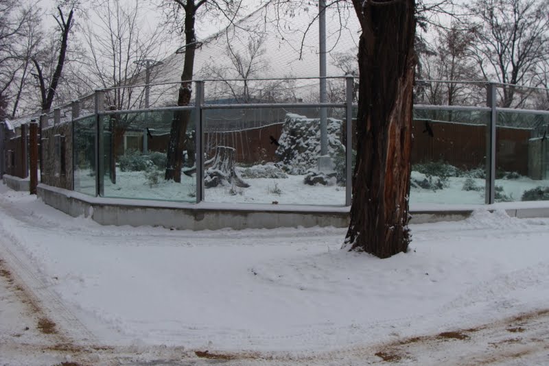 Winter in the zoo.