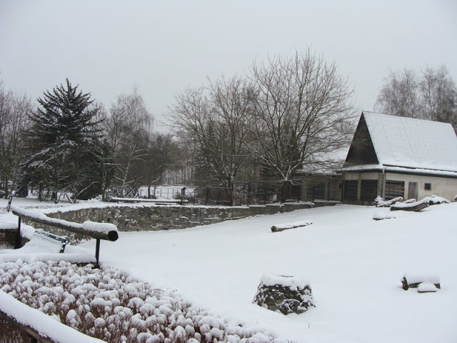 Winter in the zoo
