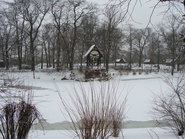 Winter in the zoo