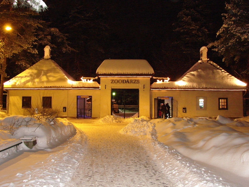 Winter Night / Riga Zoo Entrance / Zoo Gate