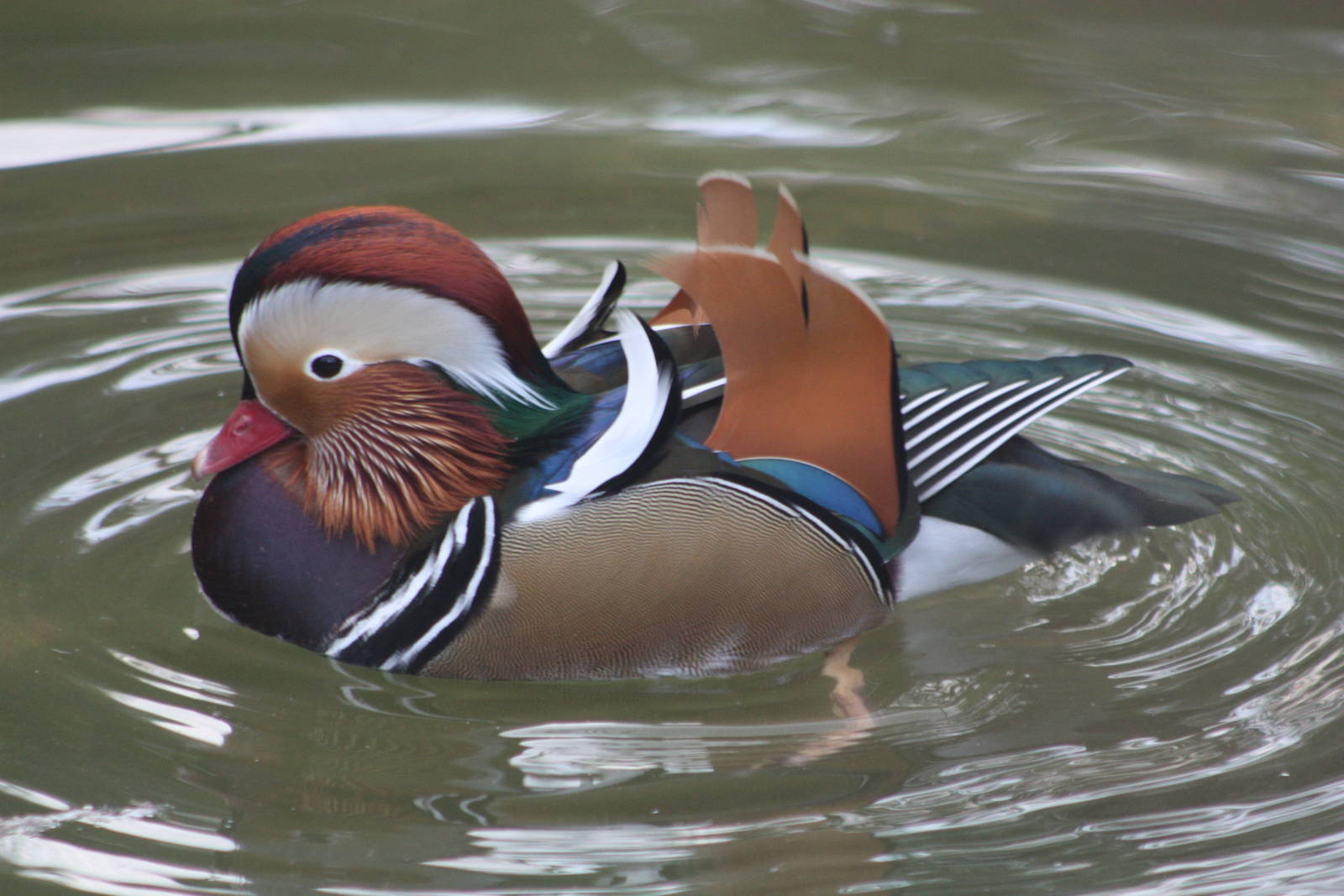 Winter on its way, 28th September 2014