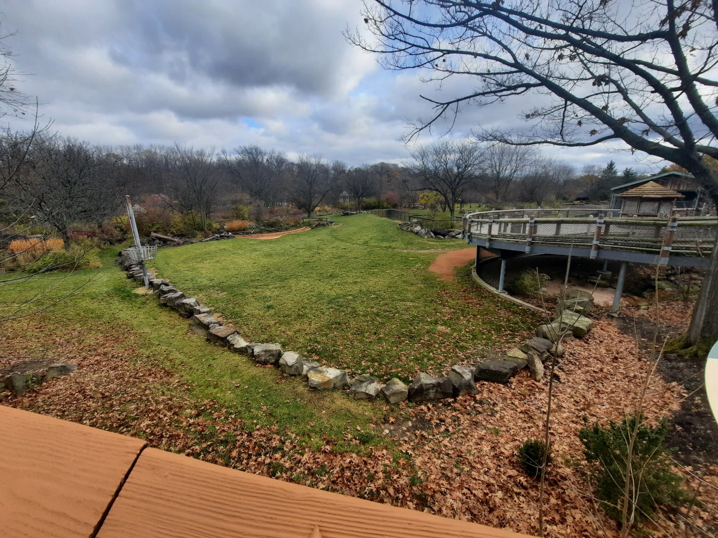 Winter on the African Savanna