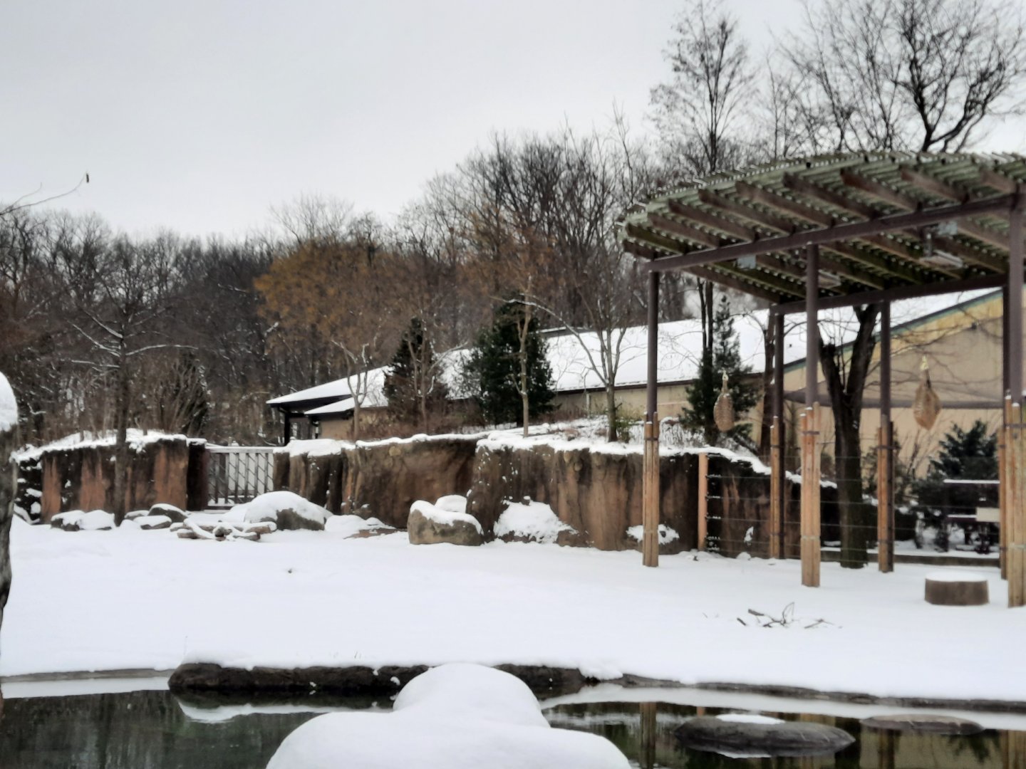 Winter on the Savannah