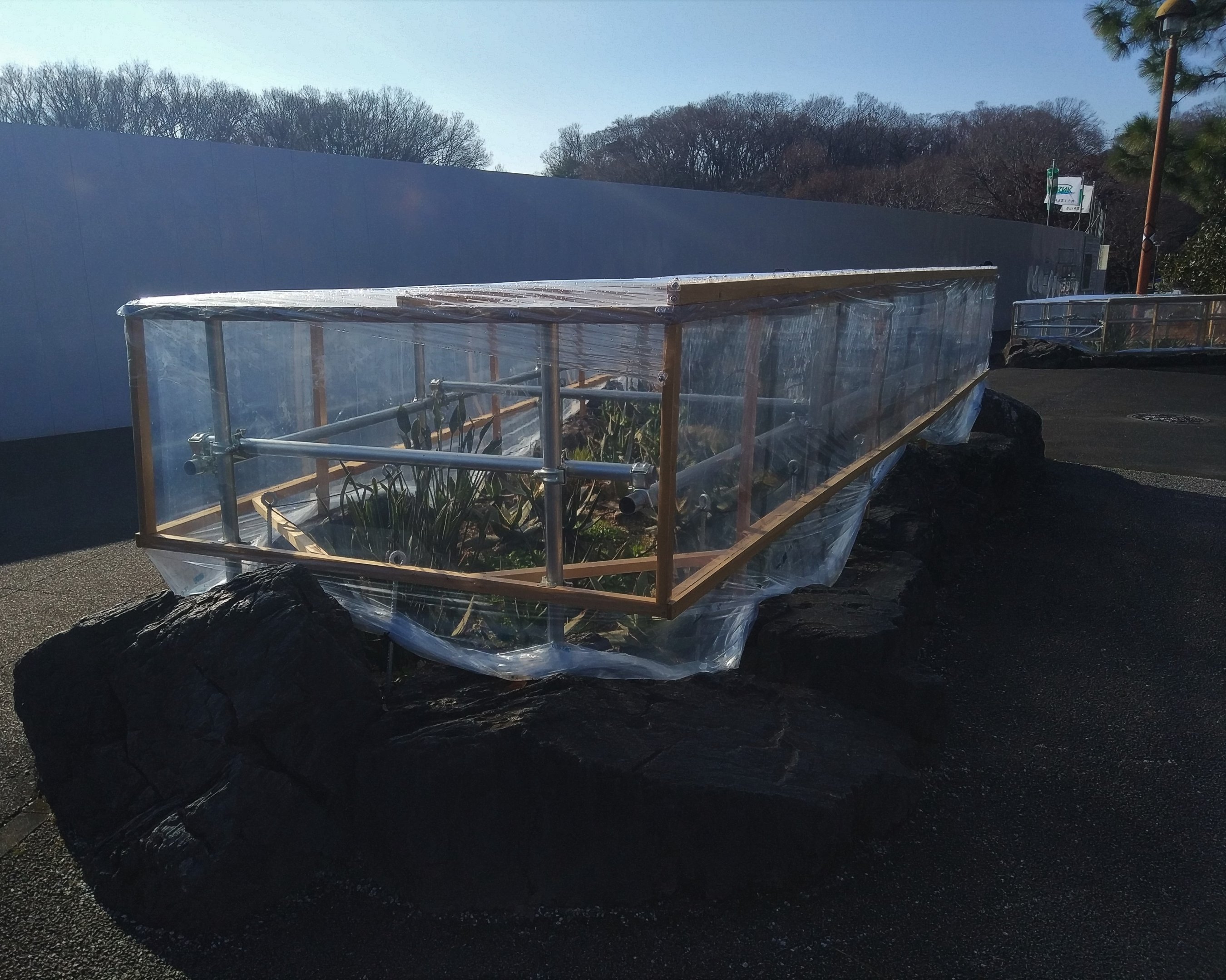 Winter Plant Protection