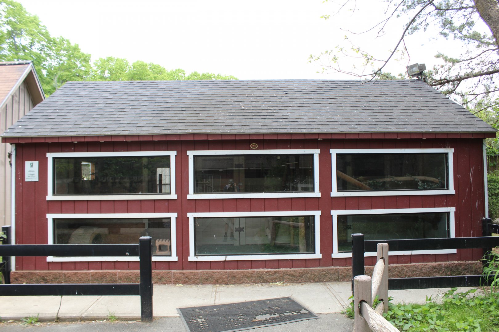 Winter Reptile Holding