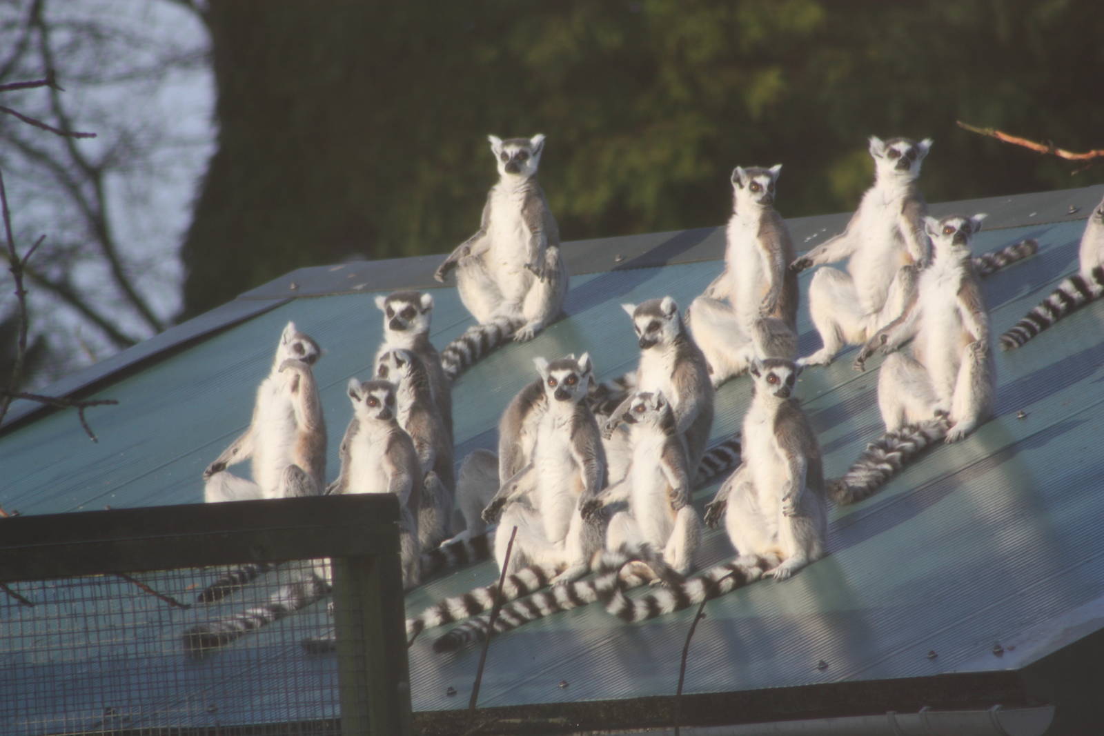 Winter sunshine, 27th December 2014