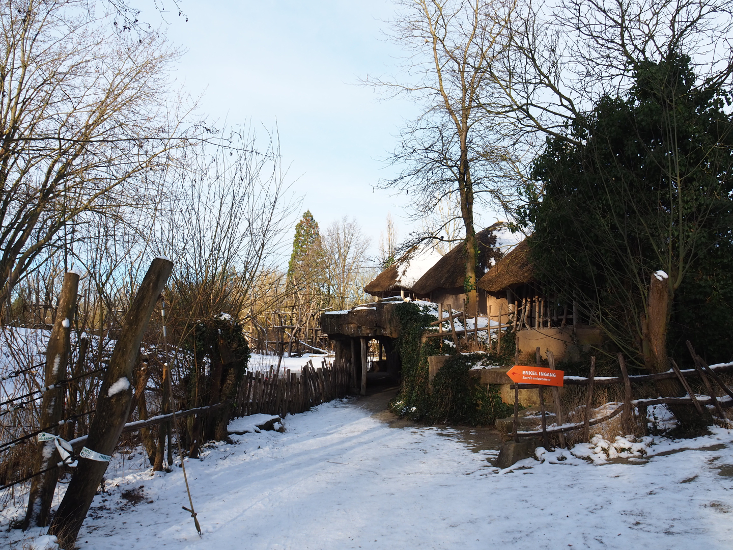 Winter view in Planckendael - African village, 2021-02-14