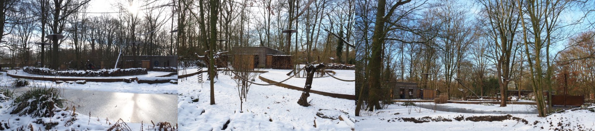 Winter view in Planckendael - Callitrichid area, 2021-02-14