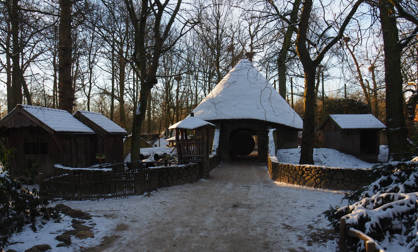 Winter view in Planckendael - Domestic rabbit and raccoon exhibits and den buildings, 2021-02-14