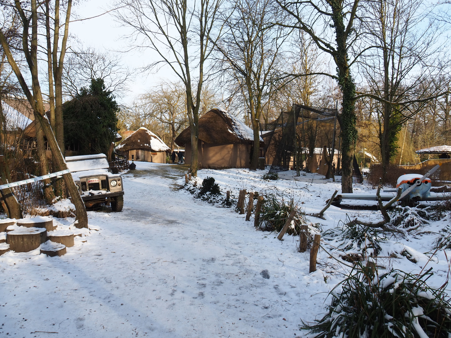 Winter view in Planckendael - Road to the African village, 2021-02-14