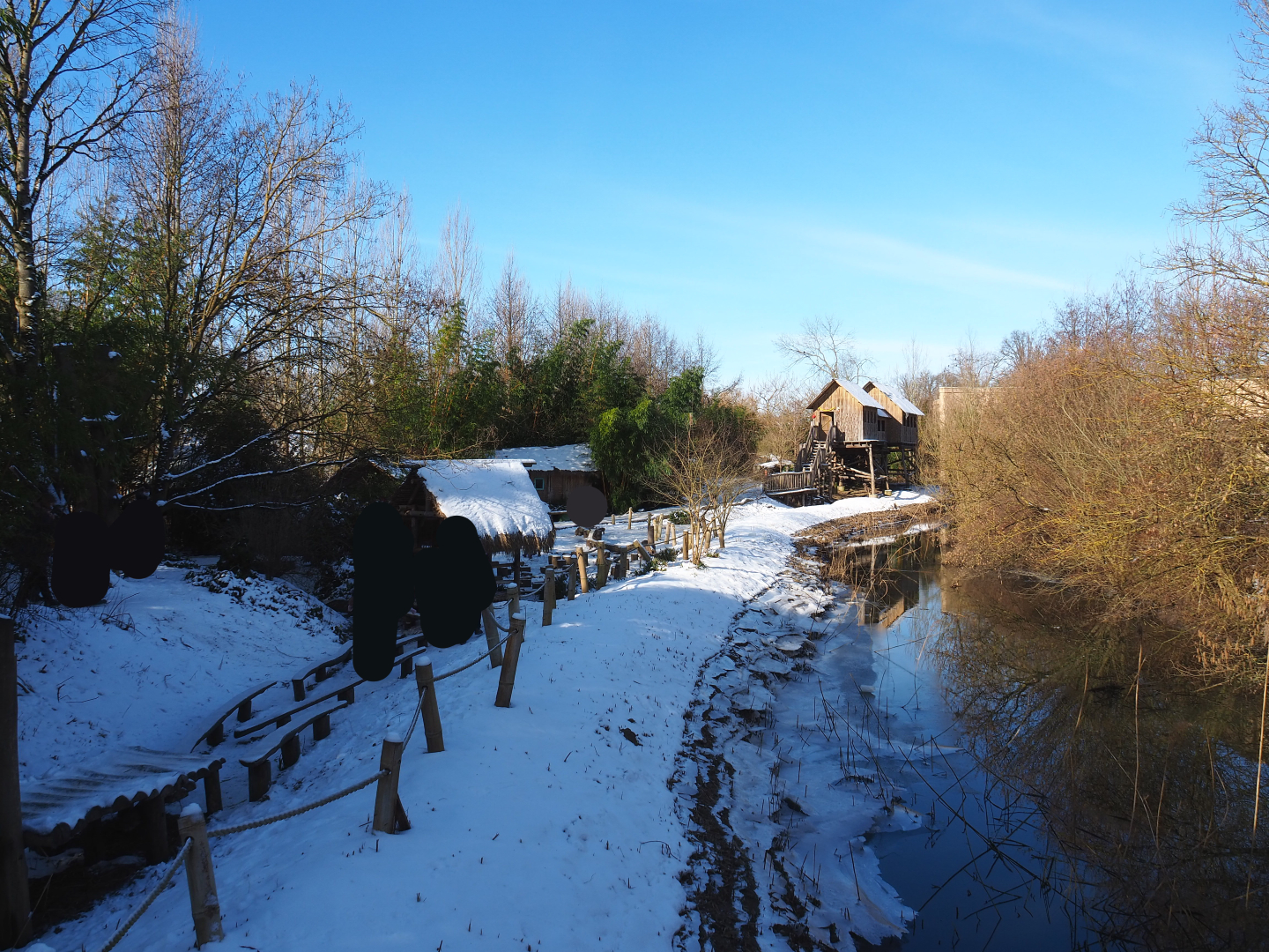 Winter view in Planckendael - View in Asian area, 2021-02-14