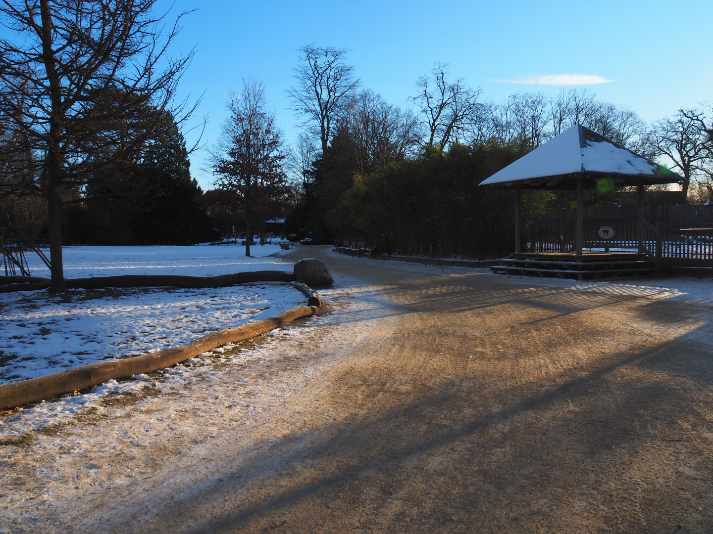 Winter view in Planckendael with bull Indian rhinoceros viewing area and road to European section, 2021-02-14