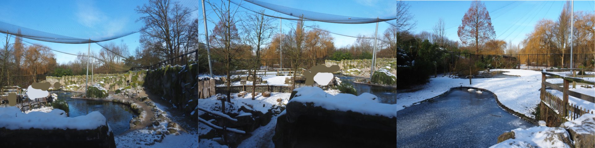 Winter views in Planckendael - South American aviary, 2021-02-14