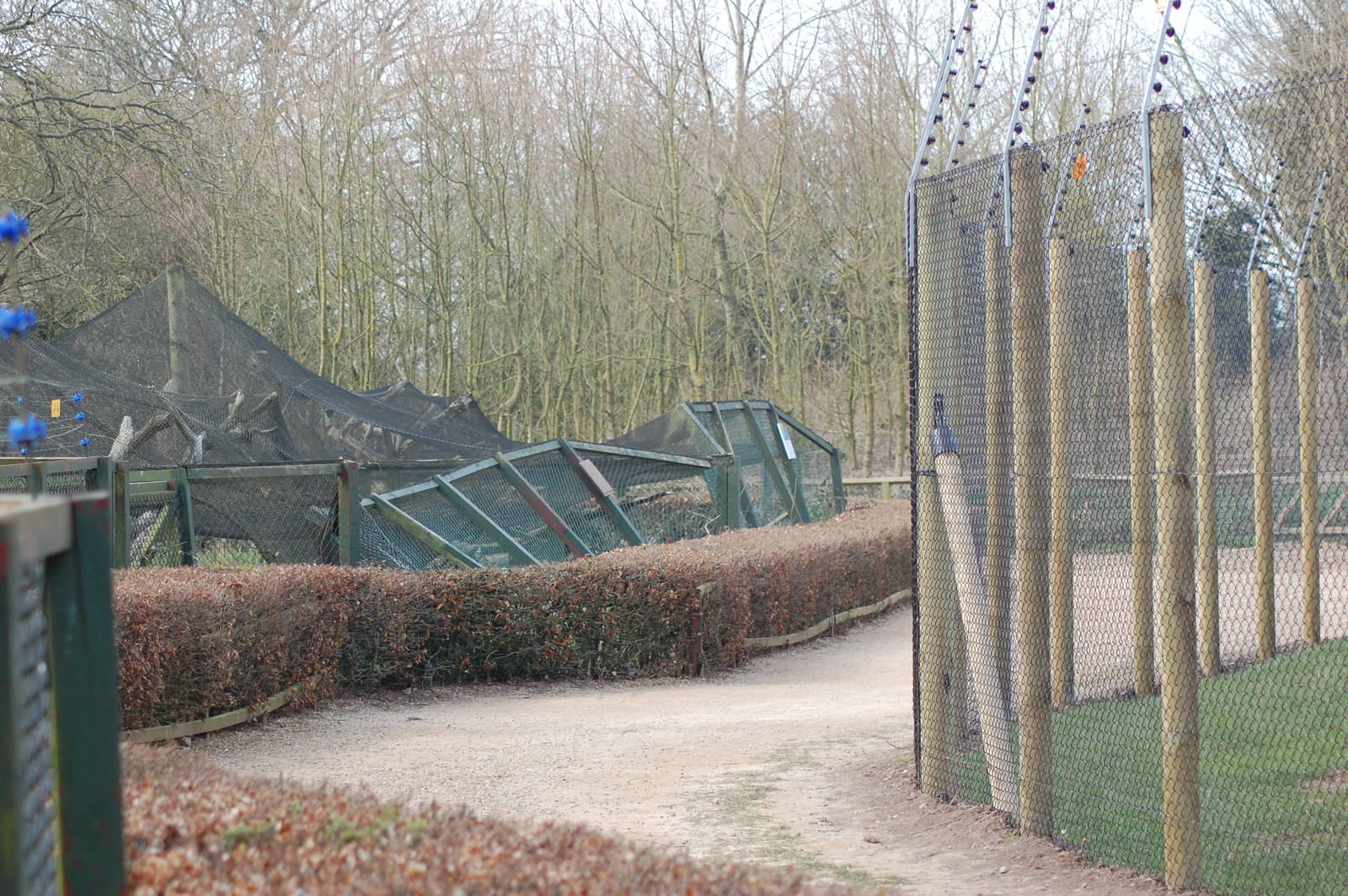 Winter Weather Damage