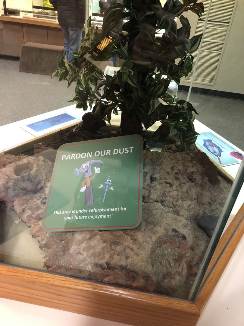 WIP Enclosure | Henry Vilas Zoo