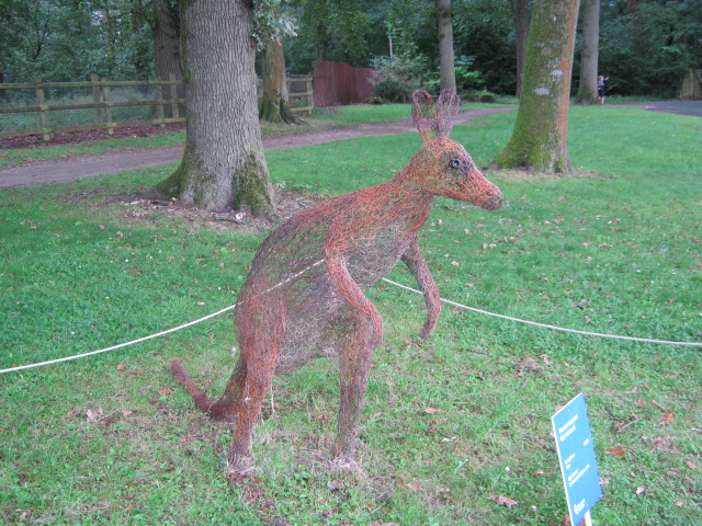 Wire Kangaroo artwork