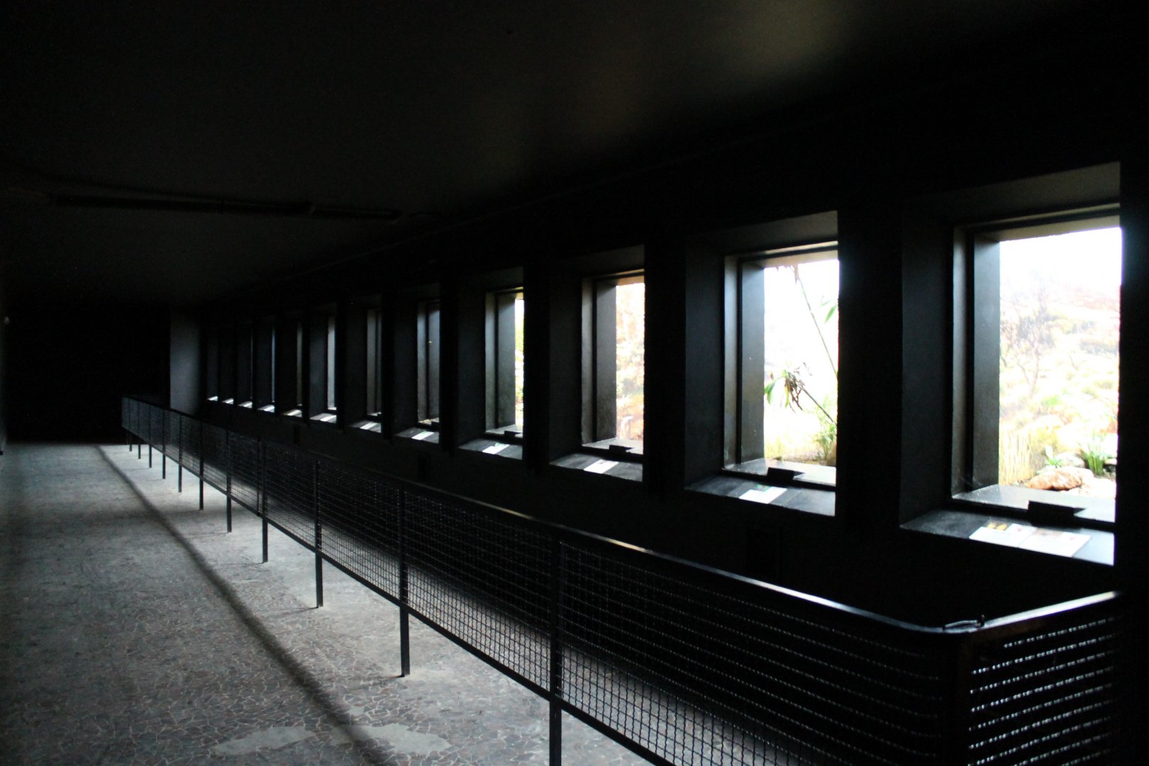 Wire-less Bird-enclosures