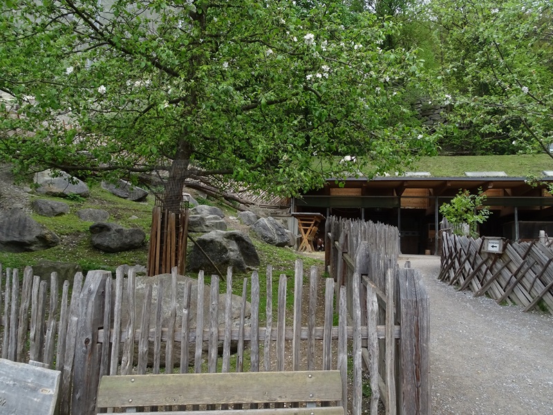 Wirtschaftshof (Barnyard area)