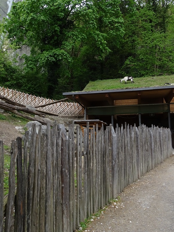 Wirtschaftshof (Barnyard area)