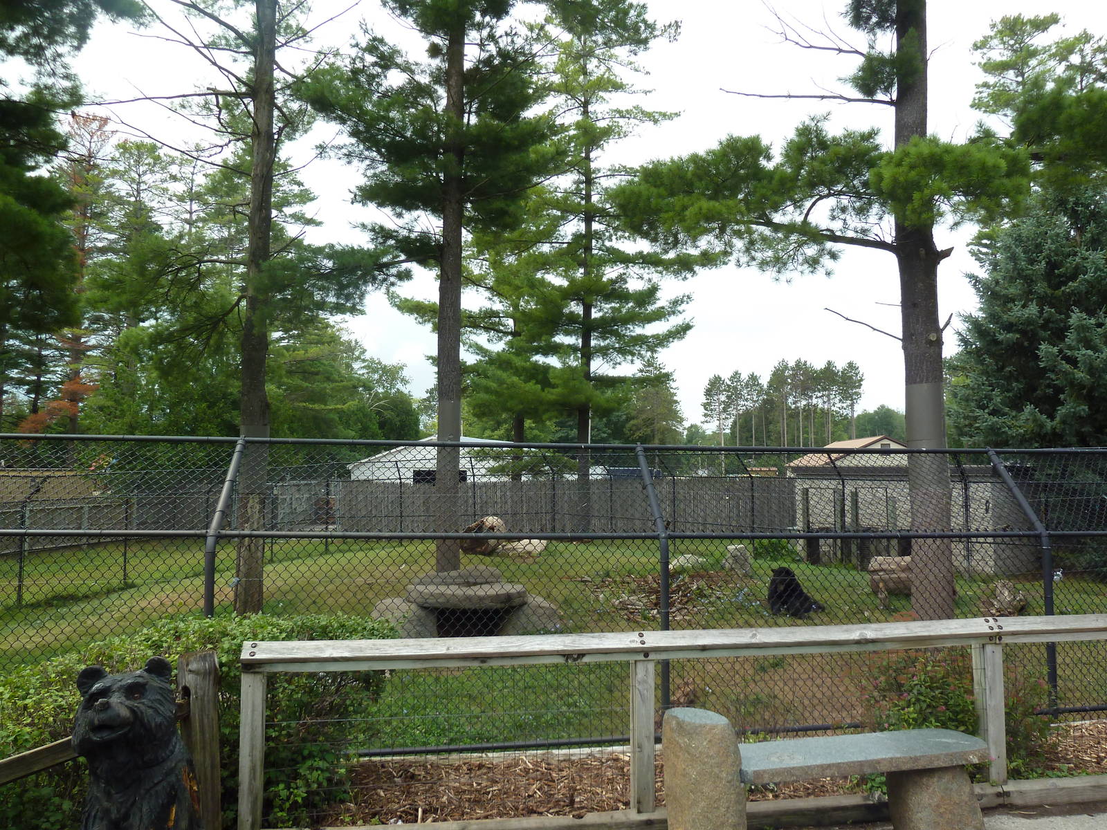 Wisconsin Trails - American Black Bear Exhibit