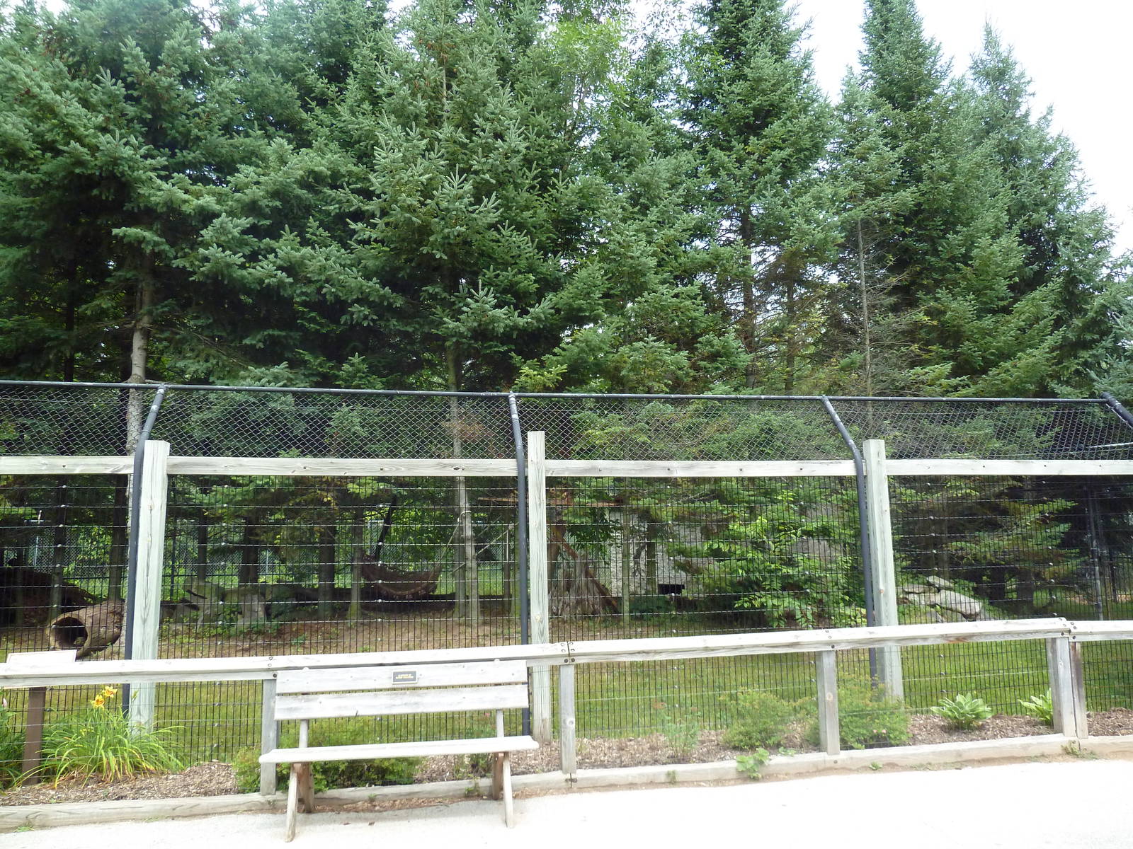 Wisconsin Trails - Bobcat Exhibit
