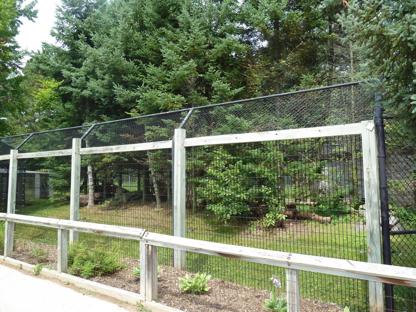 Wisconsin Trails - Bobcat Exhibit