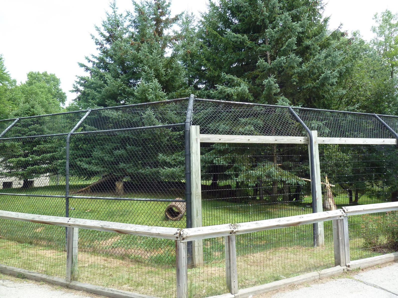 Wisconsin Trails - Canada Lynx Exhibit