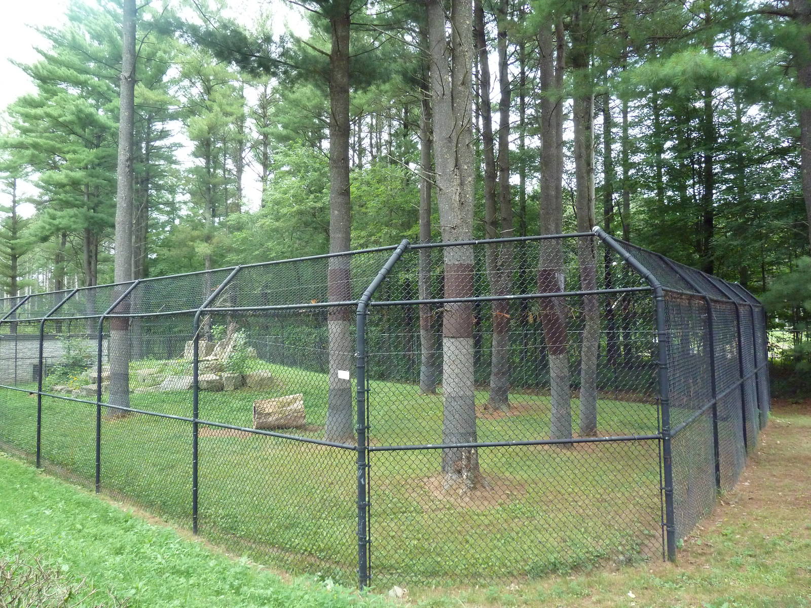Wisconsin Trails - Cougar Exhibit