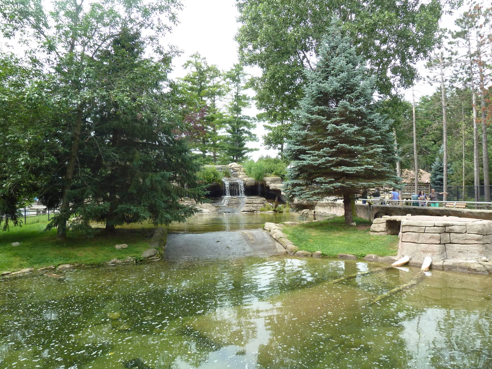 Wisconsin Trails - North American River Otter Exhibit - Gorgeous!