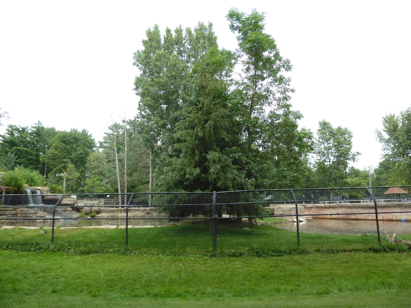 Wisconsin Trails - North American River Otter Exhibit