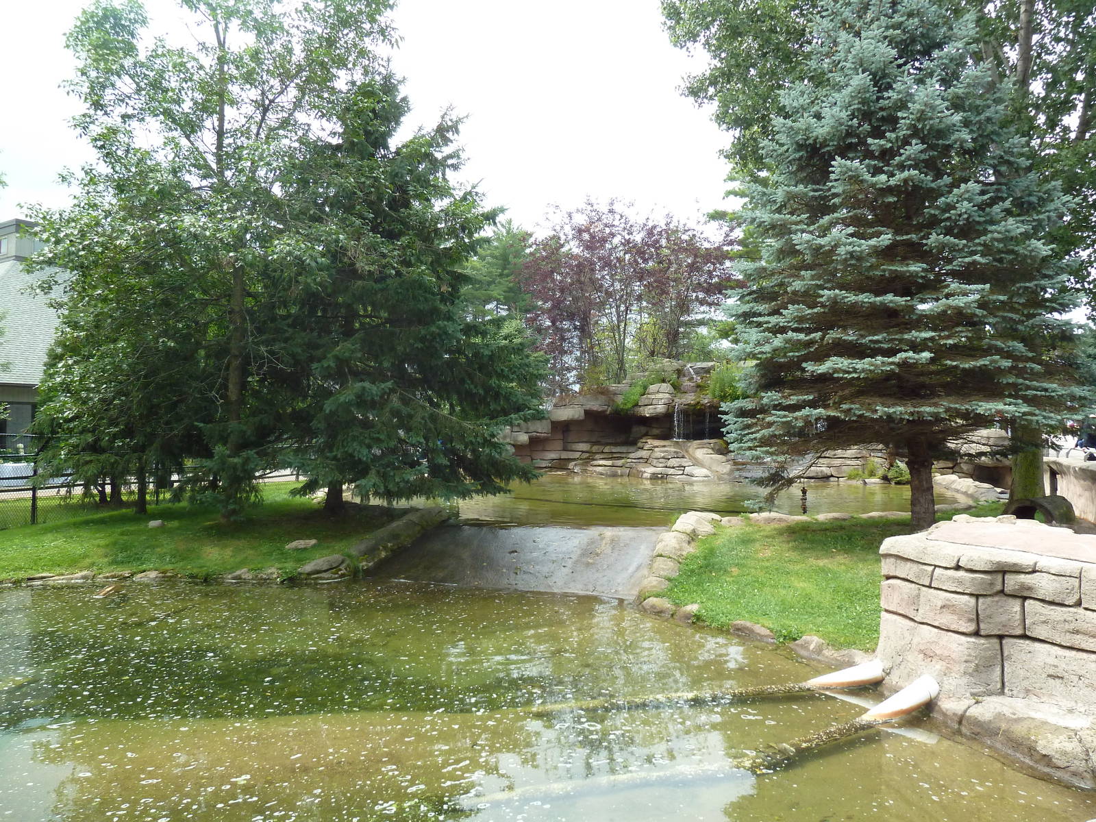 Wisconsin Trails - North American River Otter Exhibit